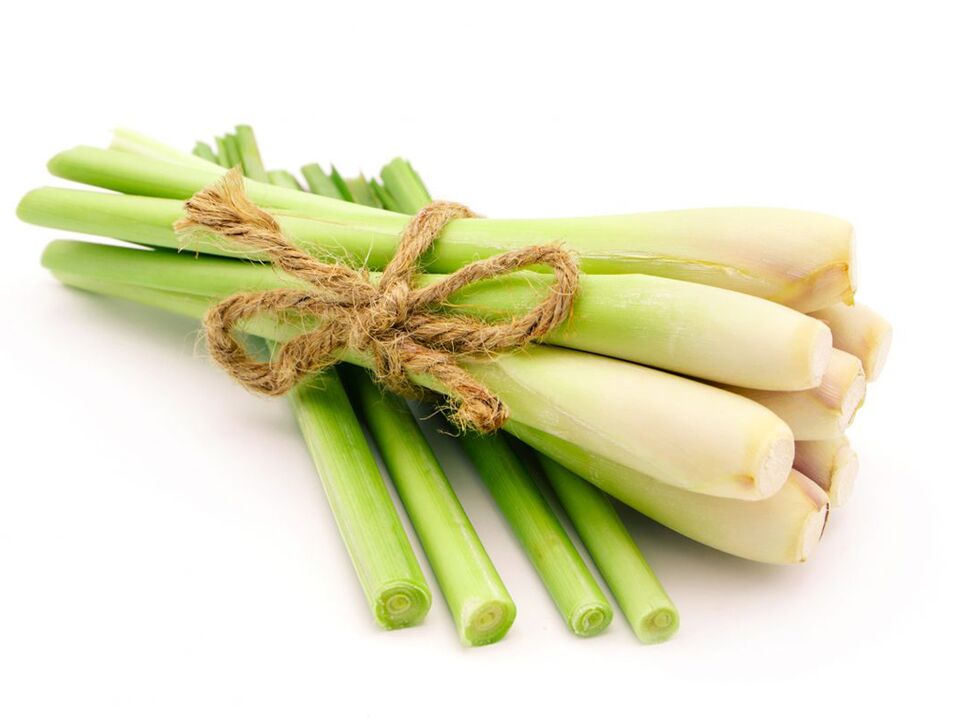 Citronella in ZXCVBNQWERT